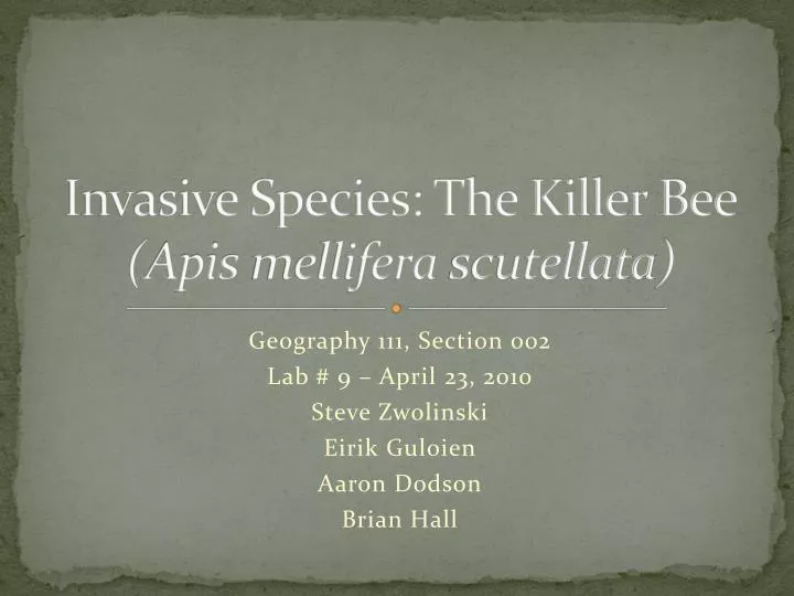 invasive species the killer bee apis mellifera scutellata