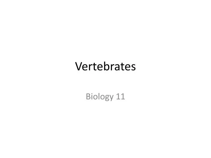 vertebrates