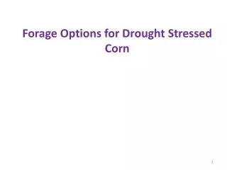 Forage Options for Drought Stressed Corn
