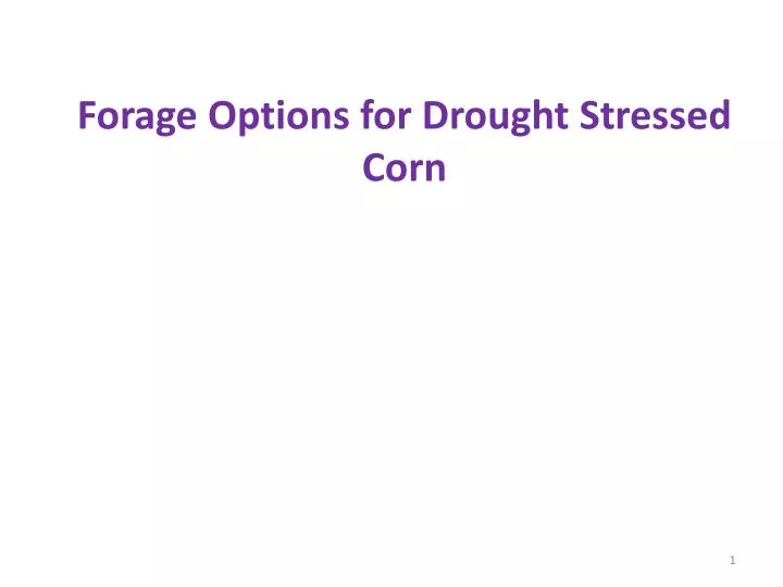forage options for drought stressed corn