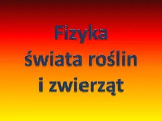 fizyka wiata ro lin i zwierz t
