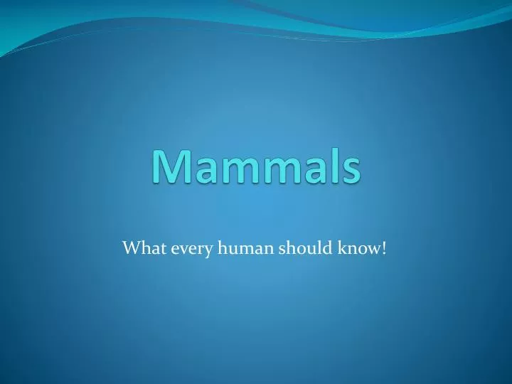 mammals