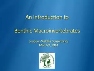 An Introduction to Benthic Macroinvertebrates