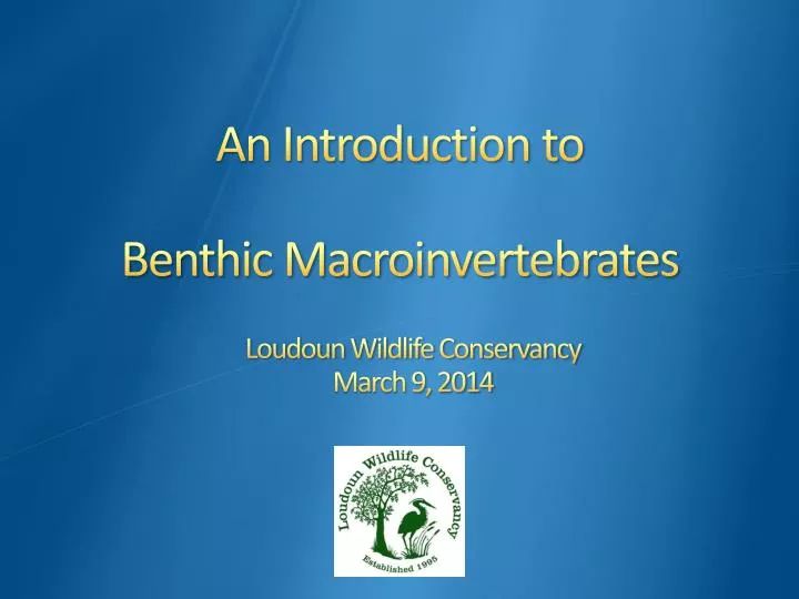an introduction to benthic macroinvertebrates