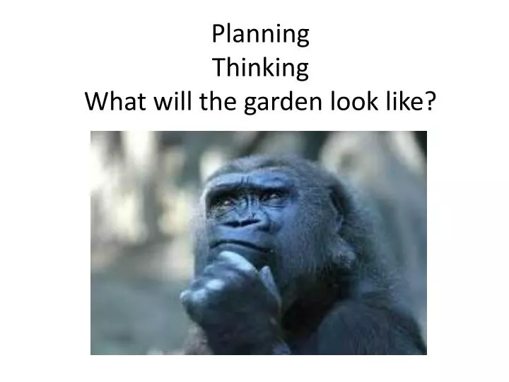 planning thinking what will the garden look like