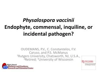 Physalospora vaccinii Endophyte, commensal, inquiline, or incidental pathogen?