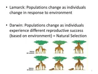 Lamarck: Populations change as individuals change in response to environment
