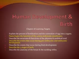 Human Development &amp; Birth