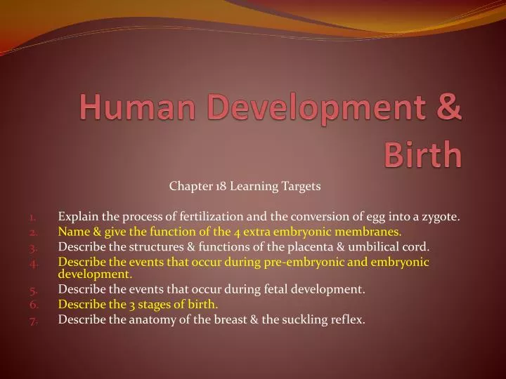 human development birth