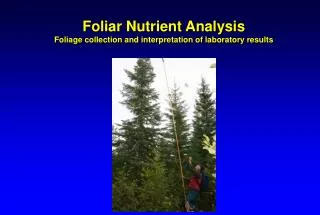 Foliar Nutrient Analysis Foliage collection and interpretation of laboratory results
