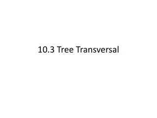 10.3 Tree Transversal