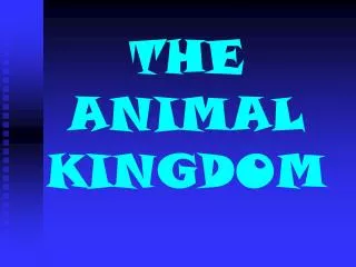 THE ANIMAL KINGDOM