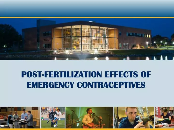 post fertilization effects of emergency contraceptives