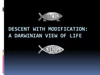 Descent With Modification: A Darwinian View of Life