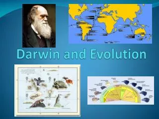 Darwin and Evolution