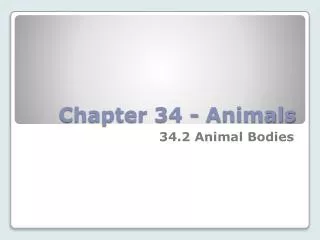 Chapter 34 - Animals