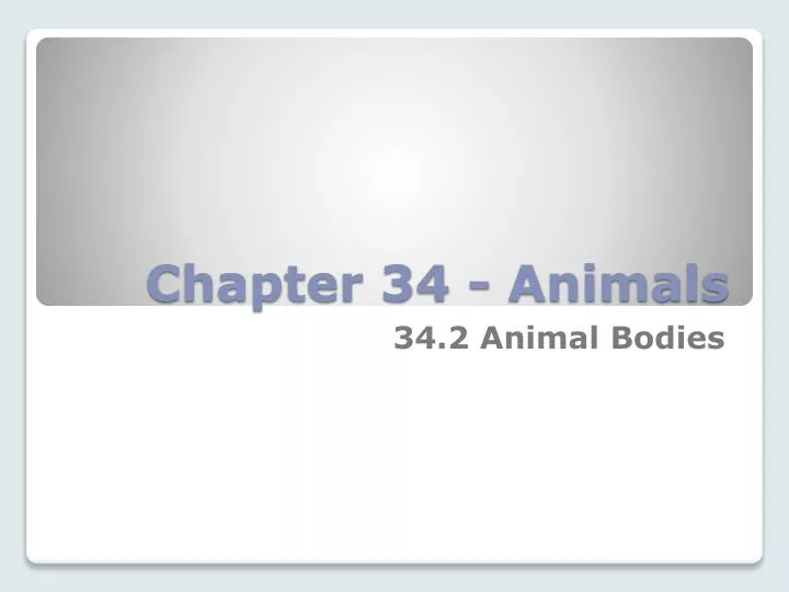 chapter 34 animals