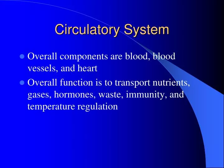 circulatory system