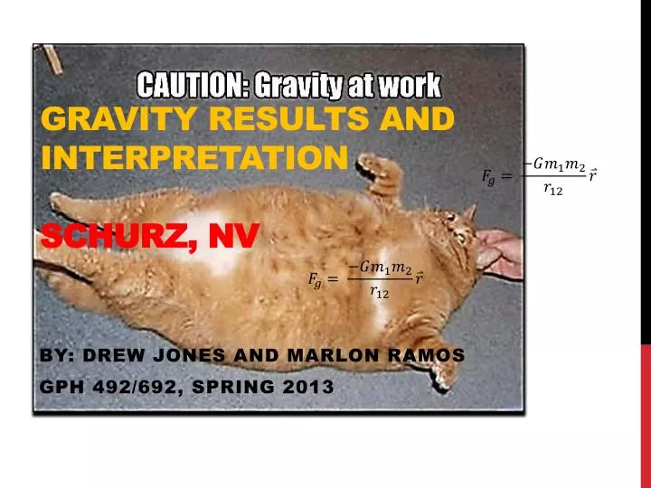 gravity results and interpretation schurz nv