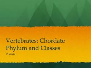 Vertebrates: Chordate Phylum and Classes