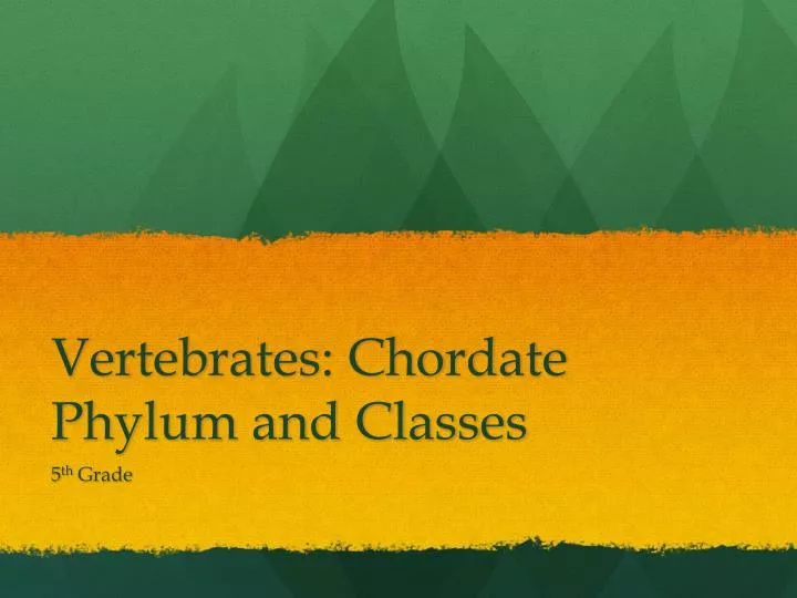 vertebrates chordate phylum and classes