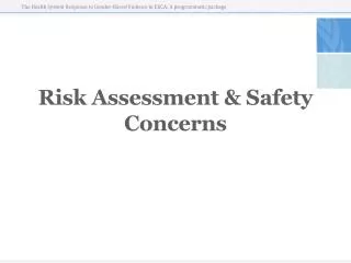 Risk Assessment &amp; Safety Concerns