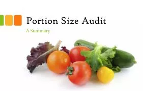 Portion Size Audit