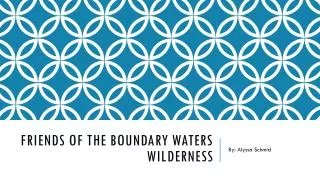 Friends of the boundary waters wilderness