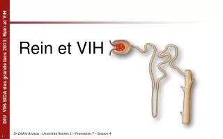 rein et vih