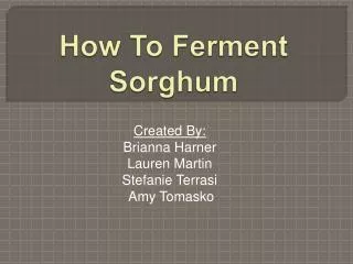 How To Ferment Sorghum