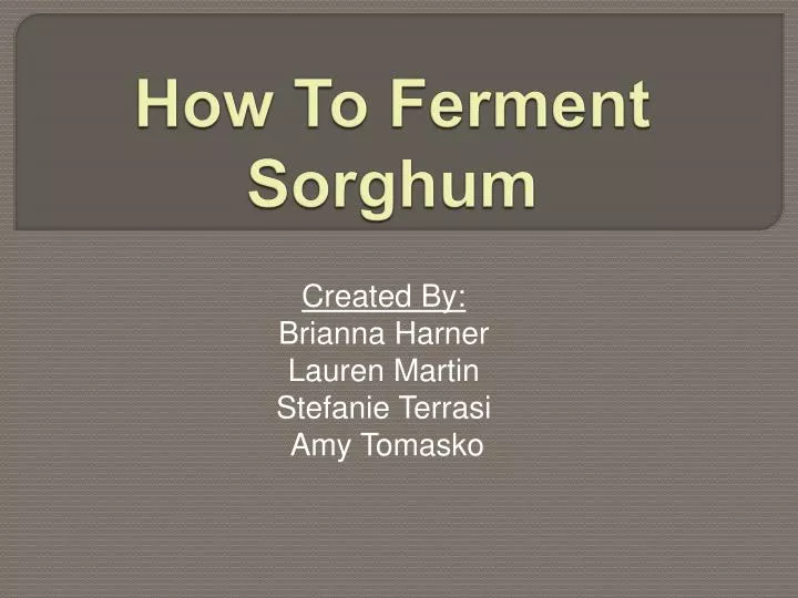 how to ferment sorghum