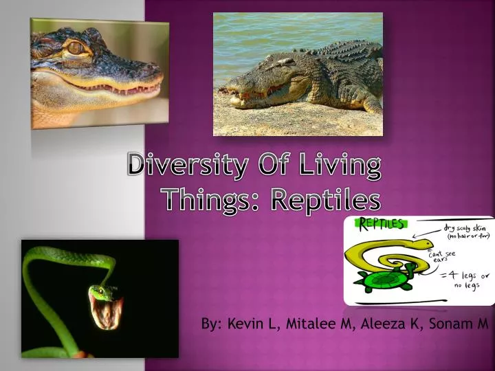 diversity of living things reptiles