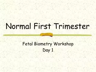 Normal First Trimester