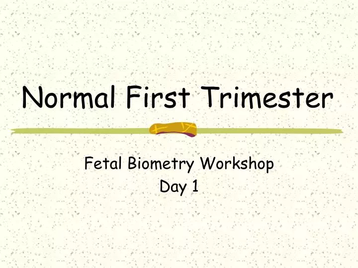 normal first trimester
