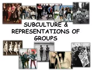 SUBCULTURE &amp; REPRESENTATIONS OF GROUPS