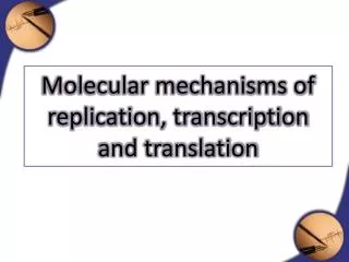 Molecular mechanisms of replication, transcription and translation