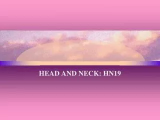 HEAD AND NECK : HN19