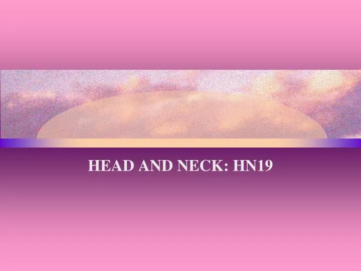head and neck hn19
