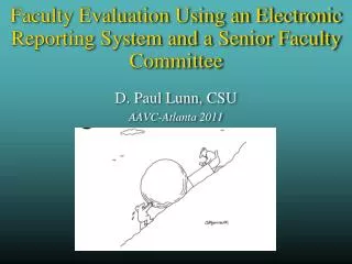 Faculty Evaluation Using an Electronic Reporting System and a Senior Faculty Committee