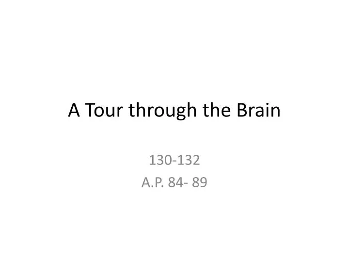 a tour through the brain