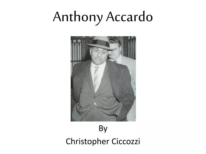 anthony accardo