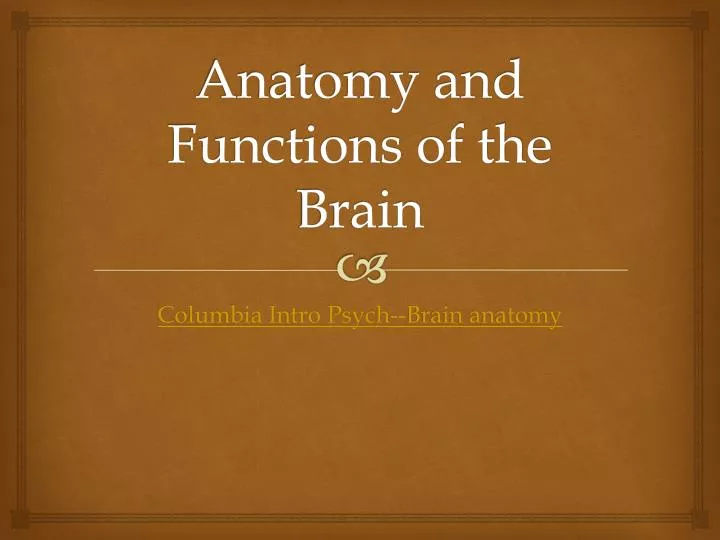 anatomy and functions of the brain