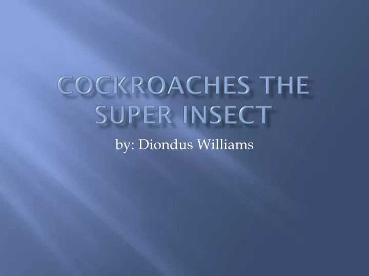c ockroaches the super insect