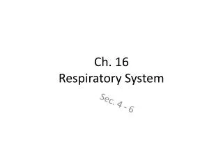Ch. 16 Respiratory System