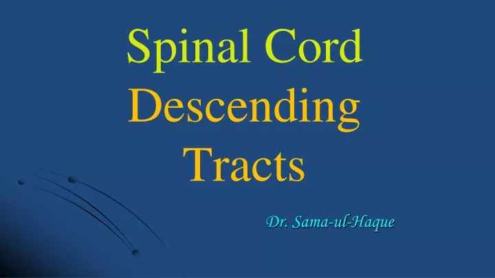spinal cord descending tracts