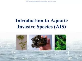 Introduction to Aquatic Invasive Species (AIS)