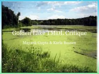 Golden Lake TMDL Critique