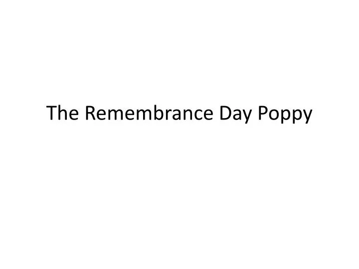 the remembrance day poppy