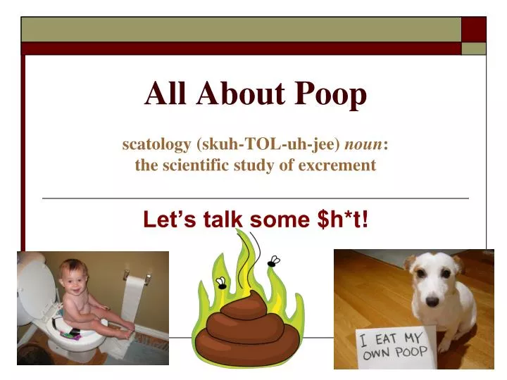all about poop scatology skuh tol uh jee noun the scientific study of excrement