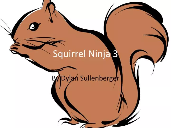 squirrel ninja 3